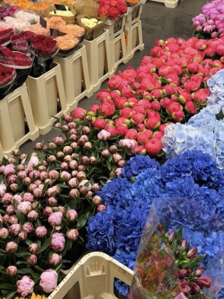 Flower wholesaler, Reel cover